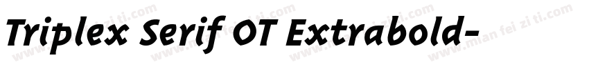 Triplex Serif OT Extrabold字体转换